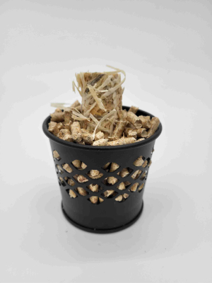 Anzündpaket Anzündkorb + 1kg Premium Holzwolleanzünder + 15Kg Holzpellets